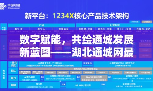 數(shù)字賦能，共繪通城發(fā)展新藍圖——湖北通城網(wǎng)最新消息
