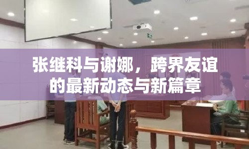 張繼科與謝娜，跨界友誼的最新動(dòng)態(tài)與新篇章