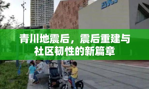 青川地震后，震后重建與社區(qū)韌性的新篇章