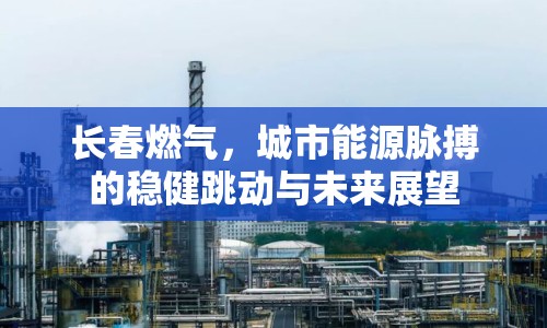 長春燃?xì)?，城市能源脈搏的穩(wěn)健跳動(dòng)與未來展望