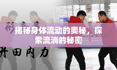 揭秘身體流動(dòng)的奧秘，探索流淌的秘密