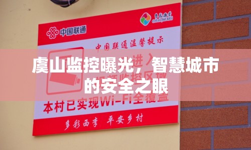 虞山監(jiān)控曝光，智慧城市的安全之眼