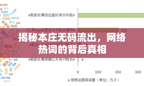 揭秘本莊無碼流出，網(wǎng)絡(luò)熱詞的背后真相