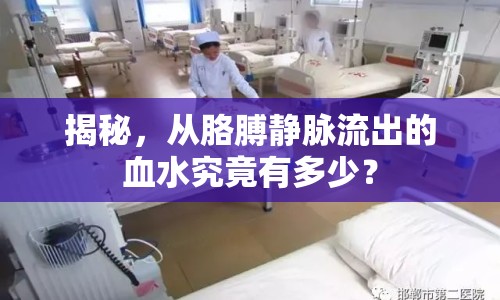 揭秘，從胳膊靜脈流出的血水究竟有多少？