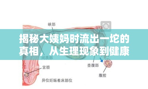 揭秘大姨媽時流出一坨的真相，從生理現(xiàn)象到健康關(guān)懷