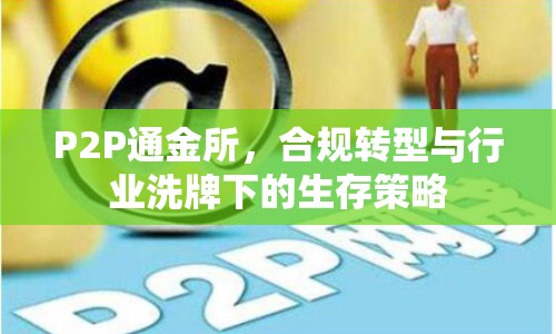 P2P通金所，合規(guī)轉(zhuǎn)型與行業(yè)洗牌下的生存策略