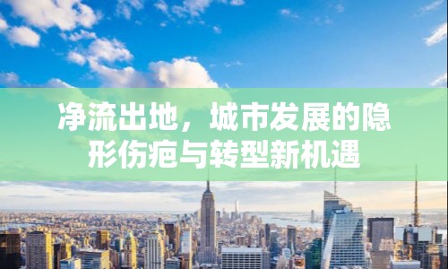 凈流出地，城市發(fā)展的隱形傷疤與轉型新機遇