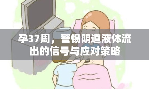 孕37周，警惕陰道液體流出的信號與應對策略
