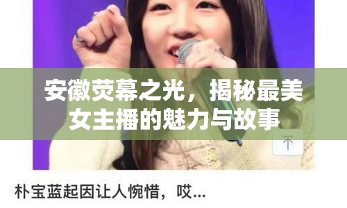 安徽熒幕之光，揭秘最美女主播的魅力與故事