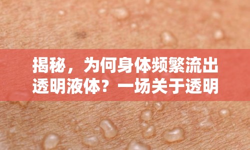揭秘，為何身體頻繁流出透明液體？一場關(guān)于透明黏液的微妙探索