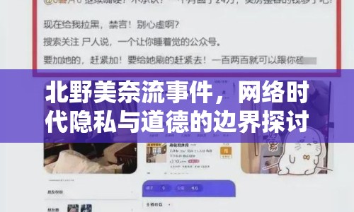 北野美奈流事件，網(wǎng)絡(luò)時(shí)代隱私與道德的邊界探討