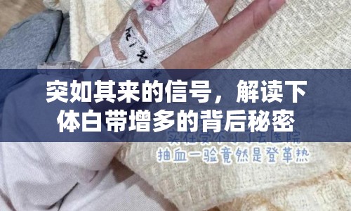 突如其來的信號(hào)，解讀下體白帶增多的背后秘密