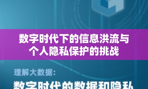 數(shù)字時代下的信息洪流與個人隱私保護的挑戰(zhàn)