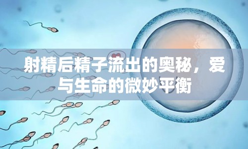 射精后精子流出的奧秘，愛與生命的微妙平衡