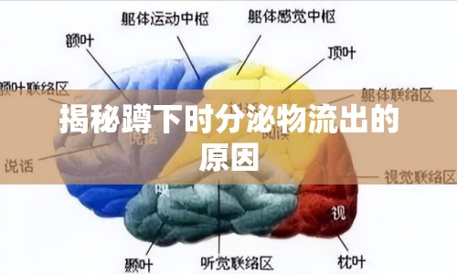 揭秘蹲下時(shí)分泌物流出的原因