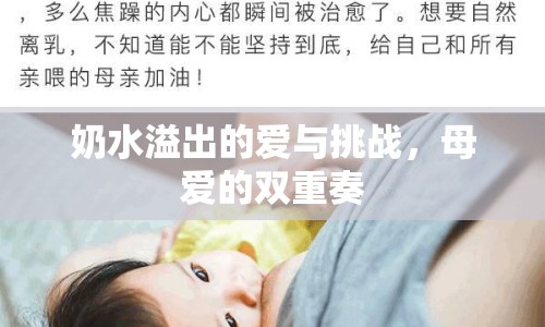奶水溢出的愛(ài)與挑戰(zhàn)，母愛(ài)的雙重奏