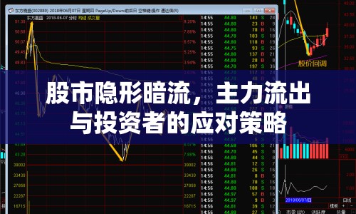 股市隱形暗流，主力流出與投資者的應(yīng)對策略