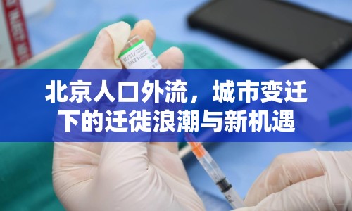 北京人口外流，城市變遷下的遷徙浪潮與新機(jī)遇