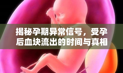 揭秘孕期異常信號，受孕后血塊流出的時間與真相