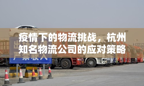疫情下的物流挑戰(zhàn)，杭州知名物流公司的應(yīng)對策略