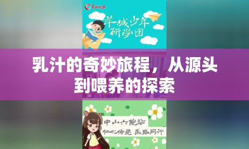 乳汁的奇妙旅程，從源頭到喂養(yǎng)的探索