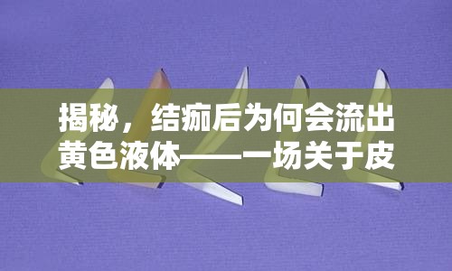 揭秘，結(jié)痂后為何會流出黃色液體——一場關(guān)于皮膚愈合的微妙戰(zhàn)