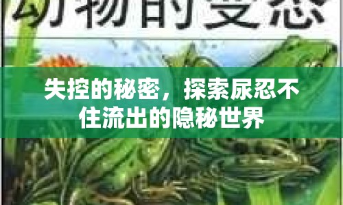 失控的秘密，探索尿忍不住流出的隱秘世界