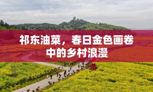 祁東油菜，春日金色畫卷中的鄉(xiāng)村浪漫