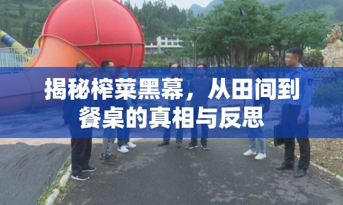 揭秘榨菜黑幕，從田間到餐桌的真相與反思