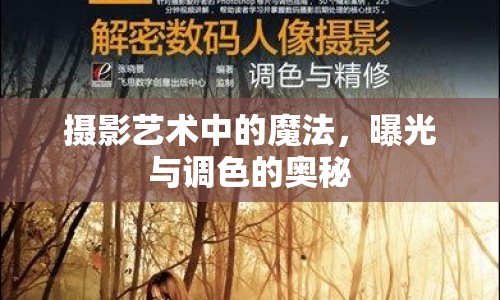 攝影藝術(shù)中的魔法，曝光與調(diào)色的奧秘