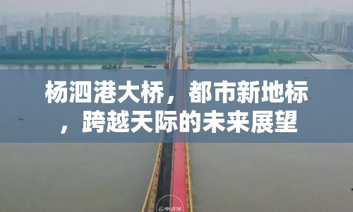 楊泗港大橋，都市新地標(biāo)，跨越天際的未來展望