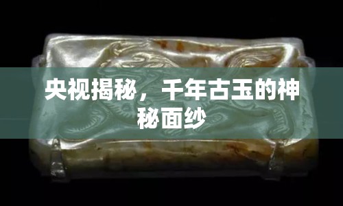 央視揭秘，千年古玉的神秘面紗