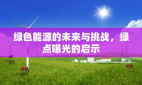 綠色能源的未來與挑戰(zhàn)，綠點(diǎn)曝光的啟示