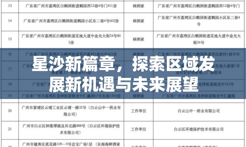 星沙新篇章，探索區(qū)域發(fā)展新機(jī)遇與未來展望