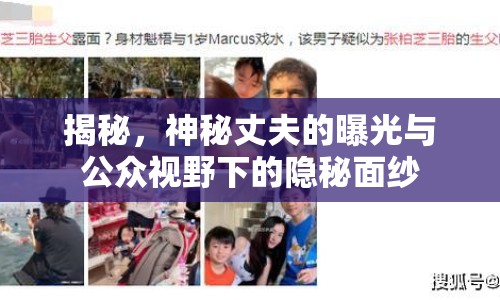 揭秘，神秘丈夫的曝光與公眾視野下的隱秘面紗
