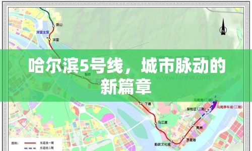哈爾濱5號(hào)線，城市脈動(dòng)的新篇章