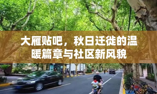 大雁貼吧，秋日遷徙的溫暖篇章與社區(qū)新風貌