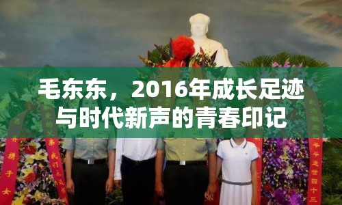 毛東東，2016年成長(zhǎng)足跡與時(shí)代新聲的青春印記