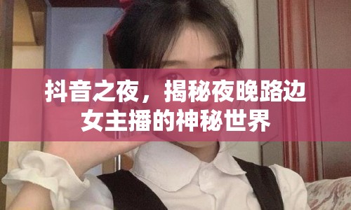 抖音之夜，揭秘夜晚路邊女主播的神秘世界