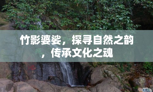 竹影婆娑，探尋自然之韻，傳承文化之魂