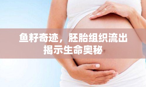 魚籽奇跡，胚胎組織流出揭示生命奧秘
