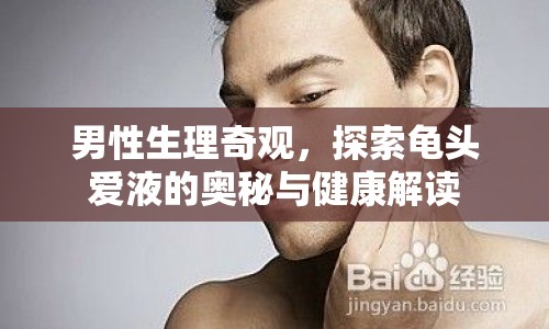 男性生理奇觀，探索龜頭愛液的奧秘與健康解讀