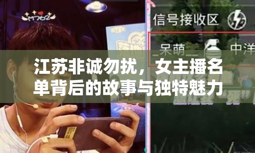 江蘇非誠勿擾，女主播名單背后的故事與獨特魅力