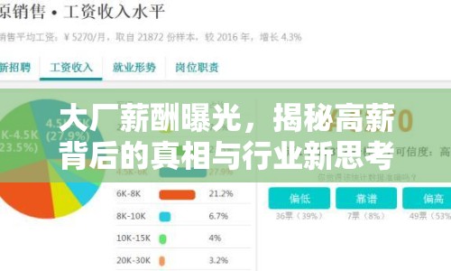 大廠薪酬曝光，揭秘高薪背后的真相與行業(yè)新思考