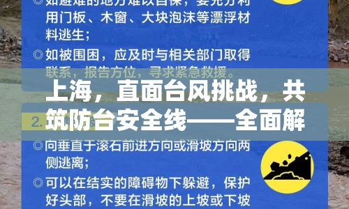 上海，直面臺(tái)風(fēng)挑戰(zhàn)，共筑防臺(tái)安全線——全面解析最新臺(tái)風(fēng)動(dòng)態(tài)與應(yīng)對(duì)措施