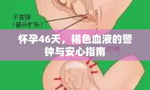 懷孕46天，褐色血液的警鐘與安心指南