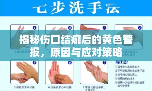 揭秘傷口結(jié)痂后的黃色警報(bào)，原因與應(yīng)對(duì)策略