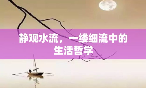 靜觀水流，一縷細(xì)流中的生活哲學(xué)
