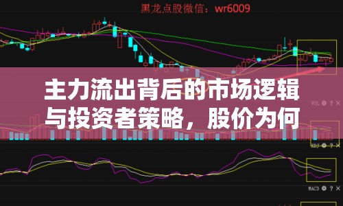 主力流出背后的市場邏輯與投資者策略，股價為何仍小幅上漲？