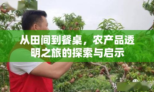 從田間到餐桌，農(nóng)產(chǎn)品透明之旅的探索與啟示